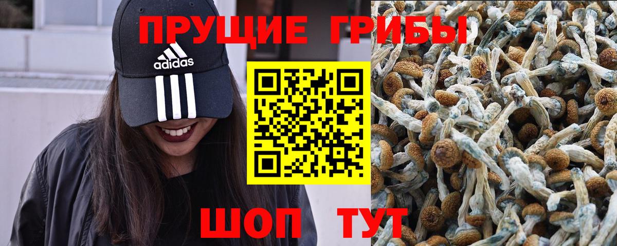 Галлюциногенные грибы MAGIC MUSHROOMS Серпухов