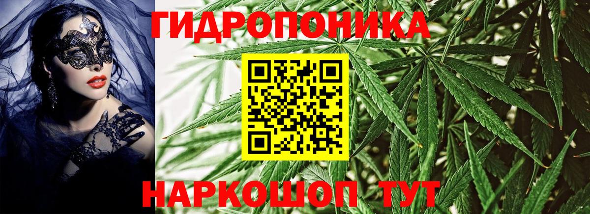 Канабис ГИДРОПОН  Каннабис OG Kush  Каннабис White Widow  Вход с VPN  Серпухов 